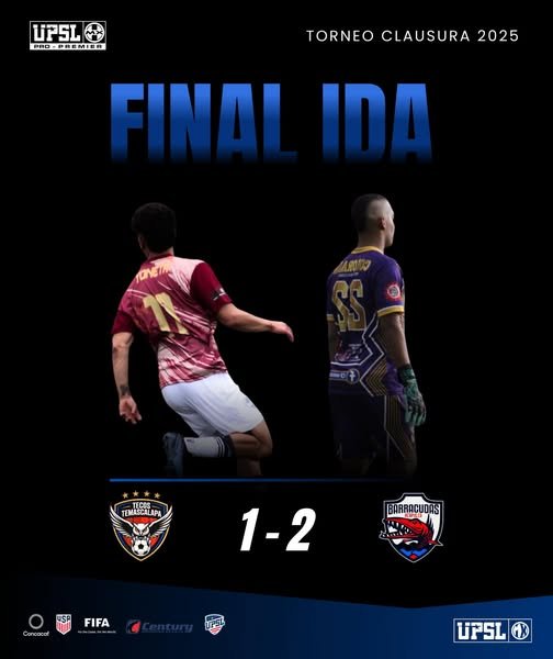 IDA FINAL pro
